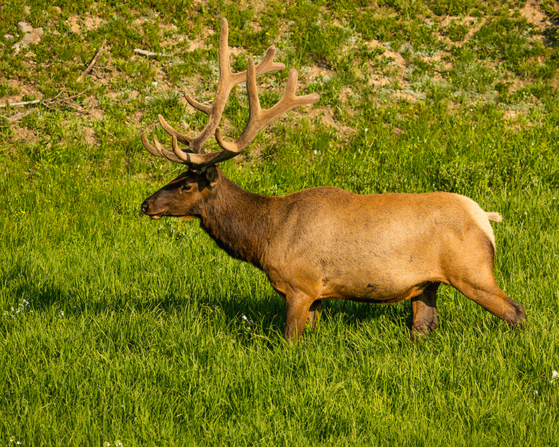 428-RMNP drive LR-6067.jpg