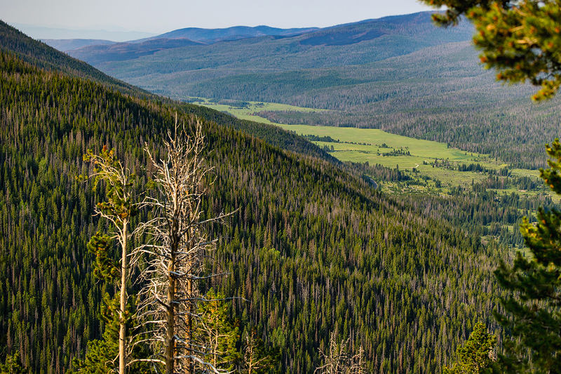 429-RMNP drive LR-6097.jpg