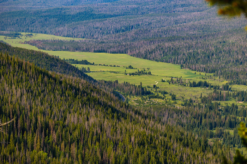 430-RMNP drive LR-6099.jpg