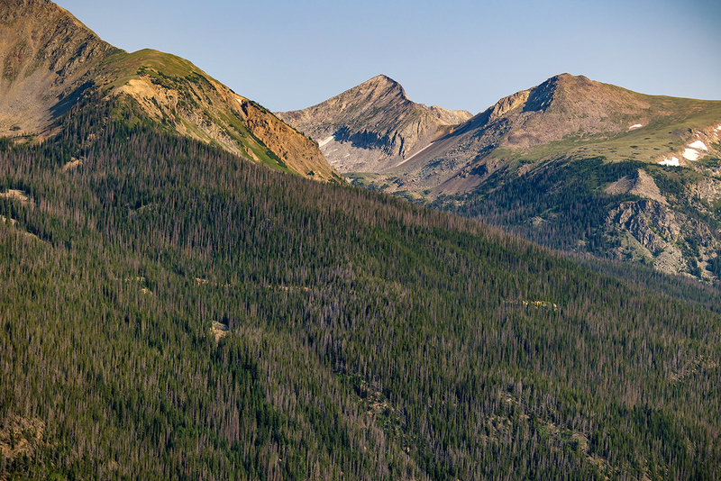 431-RMNP drive LR-6104.jpg