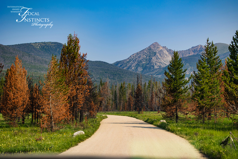 436-RMNP drive LR-6194.jpg