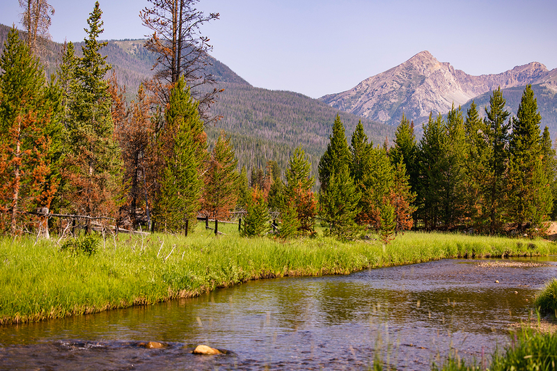 437-RMNP drive LR-6195.jpg
