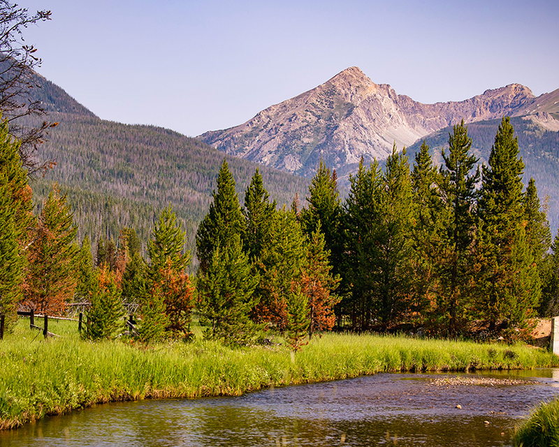 438-RMNP drive LR-6197.jpg
