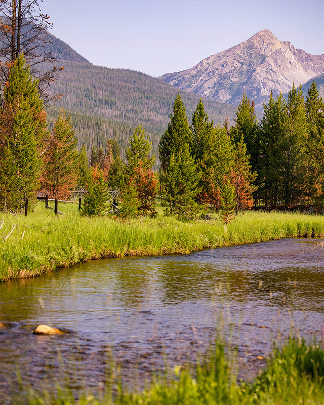439-RMNP drive LR-6198.jpg