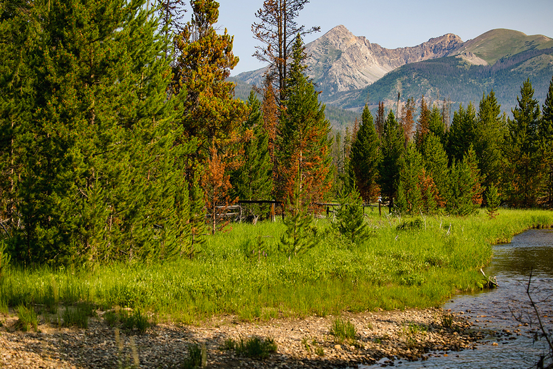 445-RMNP drive LR-6225.jpg