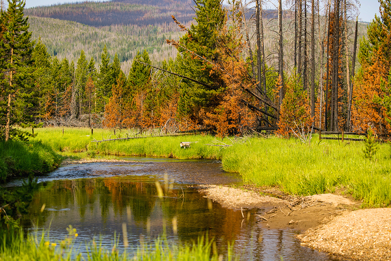 446-RMNP drive LR-6228.jpg