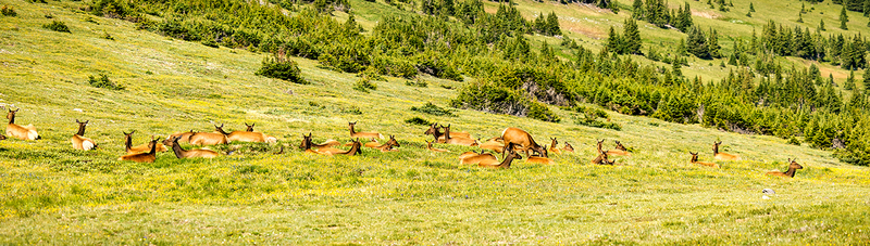 457-RMNP drive LR-6304.jpg