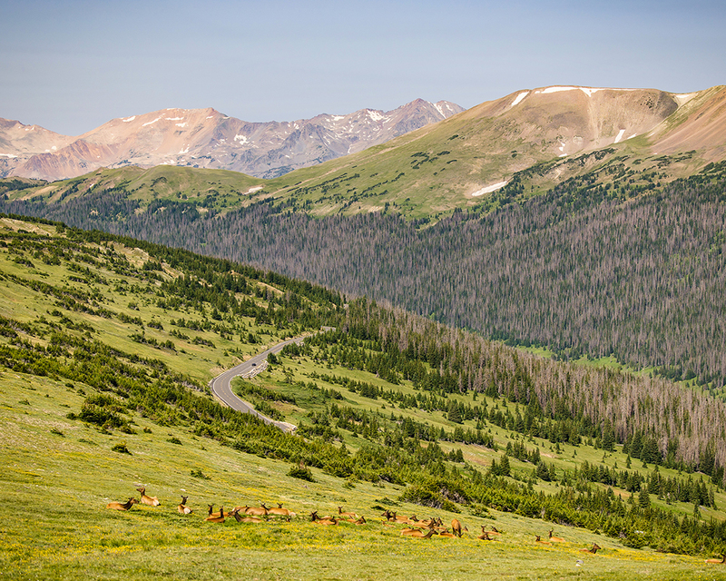 460-RMNP drive LR-6320.jpg