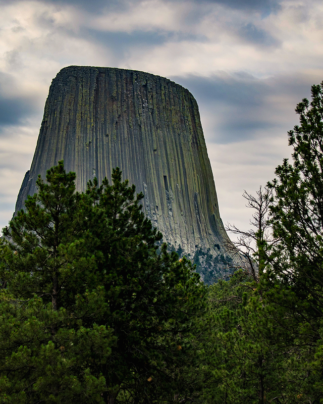 475-devils tower 1-6582.jpg
