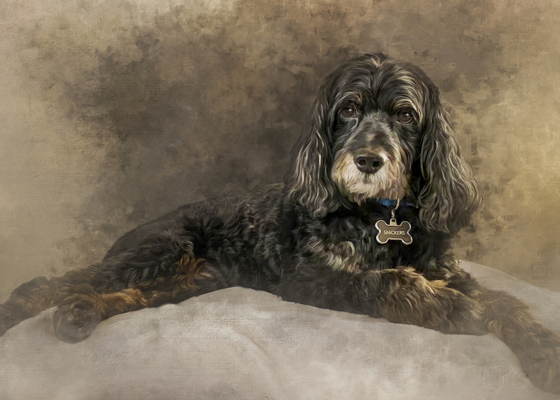 5x7 snickers final paint 2.jpg