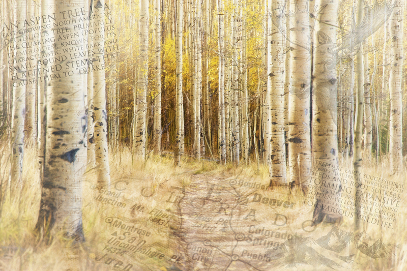 Aspens Layered.jpg
