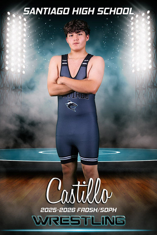 BANNER-fs castillo.jpg