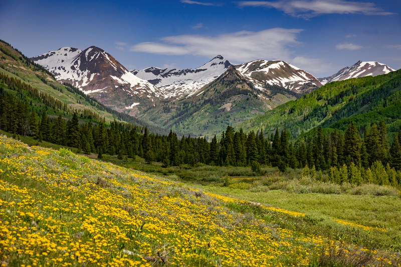 Crestid Butte 25 - 8040.jpg