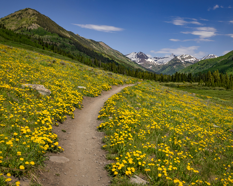 Crestid Butte 25 - 8044.jpg