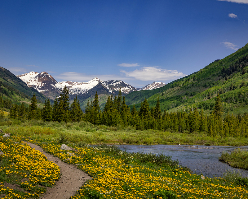 Crestid Butte 25 - 8115.jpg