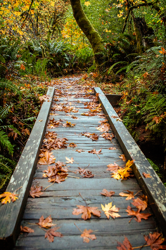 Glamp-0763(1).jpg