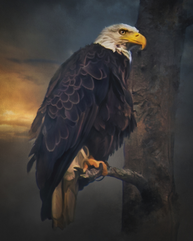 eagle paint.jpg