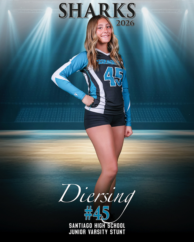 jv diersing(1).jpg :: Empty arena with stage spotlights, showcasing a blank space idea