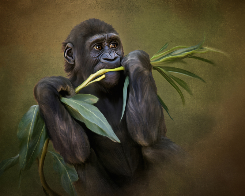 monkey final.jpg