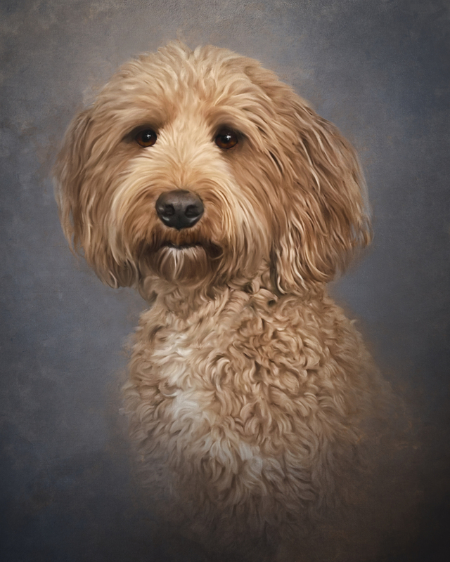 riley Final Paint.jpg