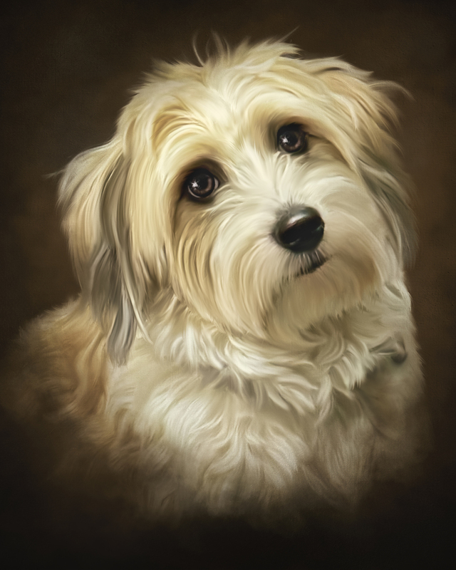 saras dog final.jpg
