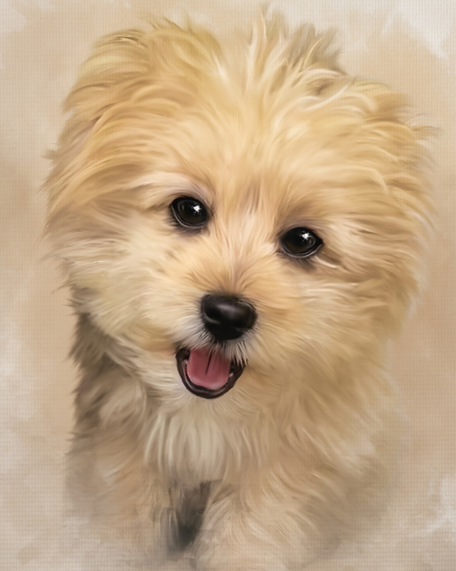 teddy final 1.jpg