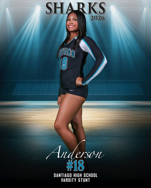 v anderson.jpg :: Empty arena with stage spotlights, showcasing a blank space idea