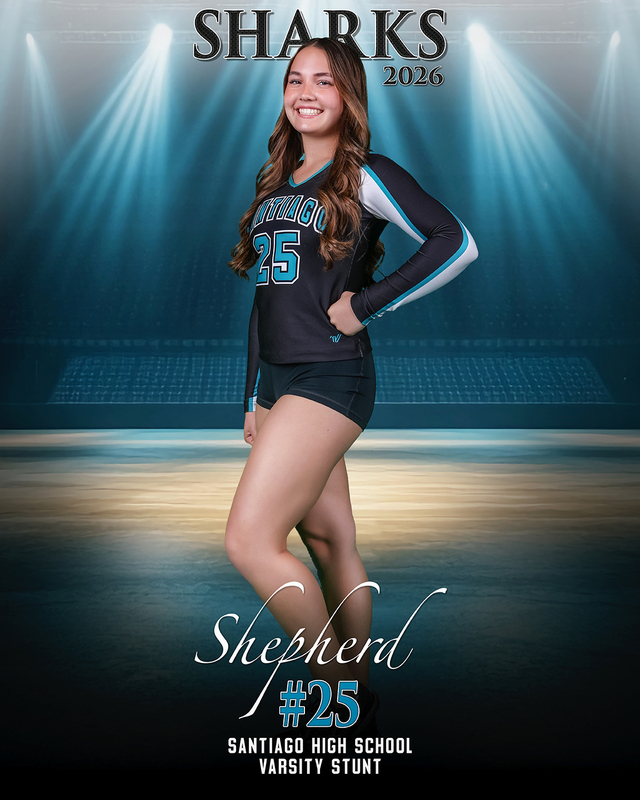 v shepherd.jpg :: Empty arena with stage spotlights, showcasing a blank space idea