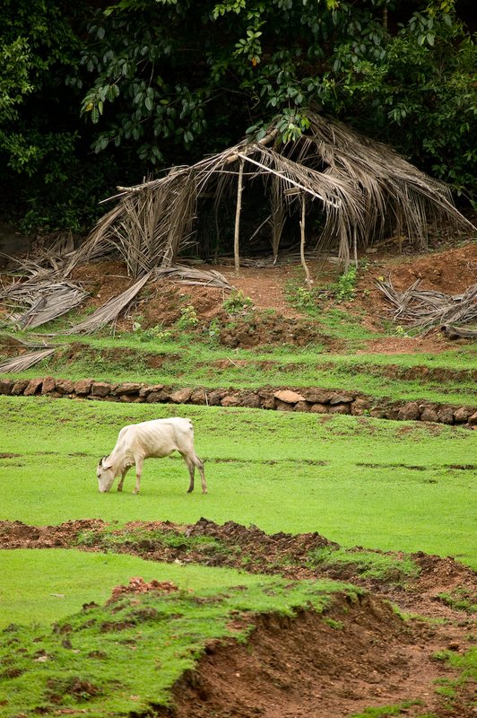 20050705_g_goa_india-26.jpg