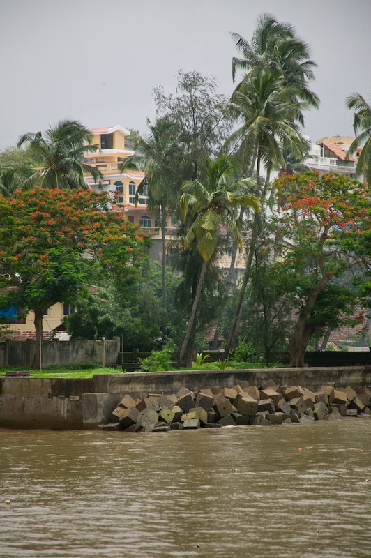 20050705_g_goa_india-4.jpg
