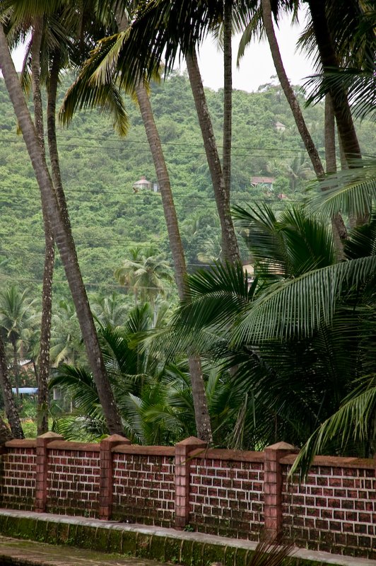 20050705_g_goa_india-41.jpg
