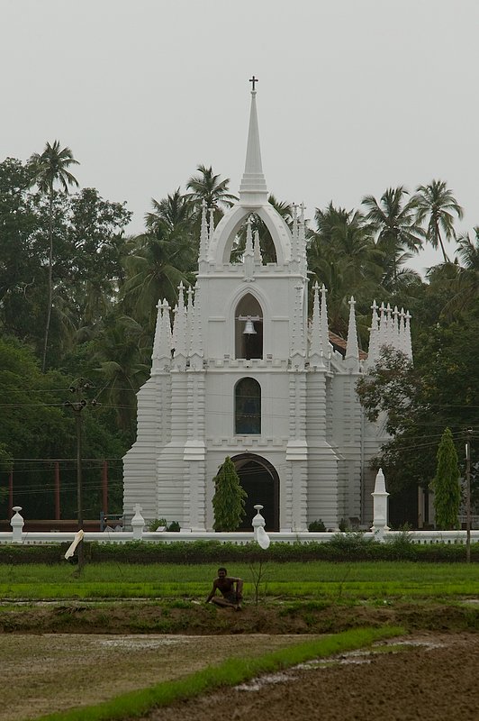 20050705_r_goa_raw-1.jpg