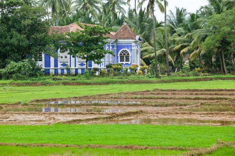 20050705_r_goa_raw-30.jpg