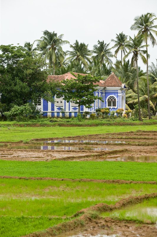 20050705_r_goa_raw-31.jpg