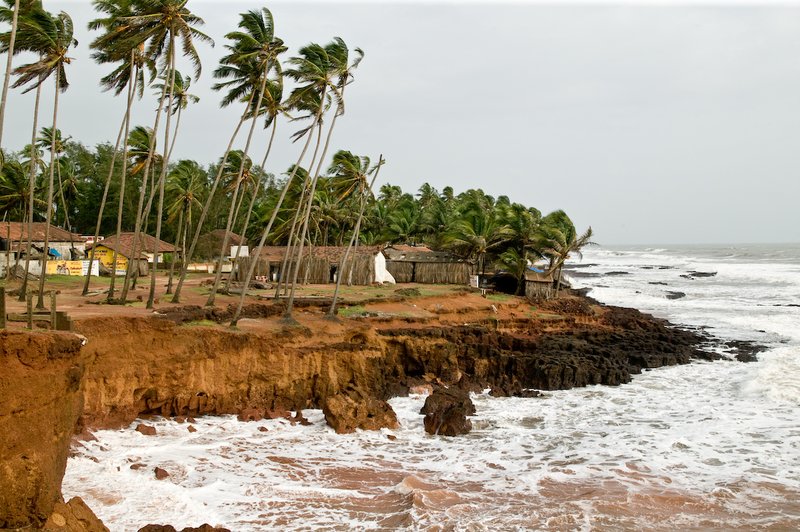 20050705_r_goa_raw-5.jpg