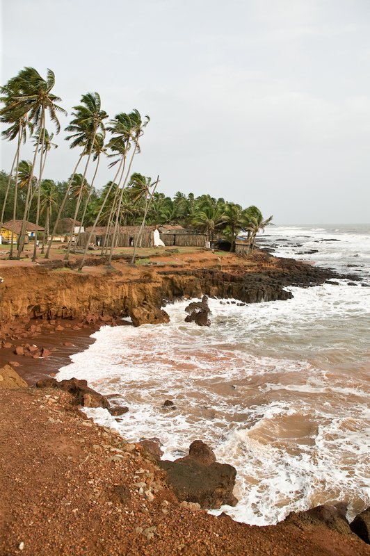20050705_r_goa_raw-6.jpg