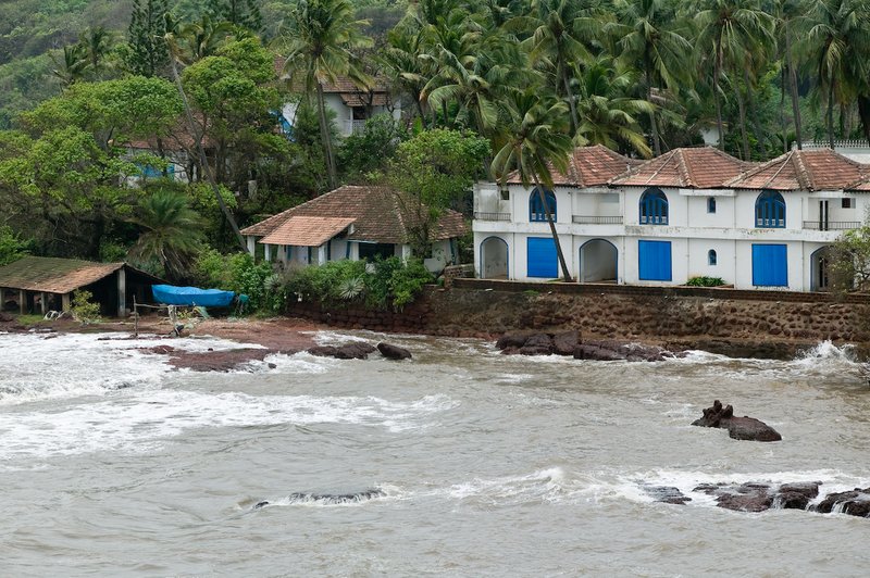 20050705_r_goa_raw-60.jpg