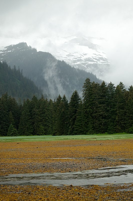 20060615_alaska-105.jpg