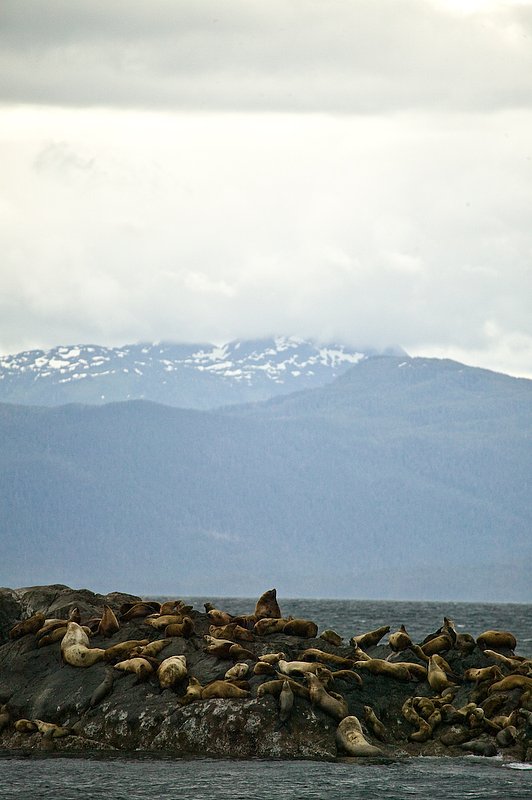 20060615_alaska-140.jpg