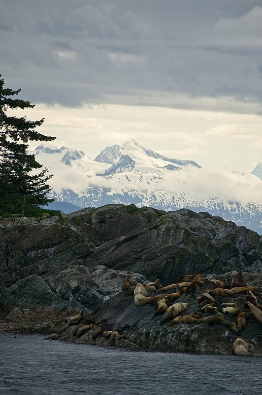 20060615_alaska-141.jpg