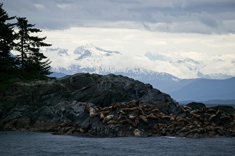 20060615_alaska-142.jpg