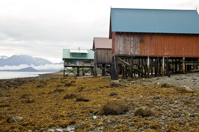 20060615_alaska-147.jpg