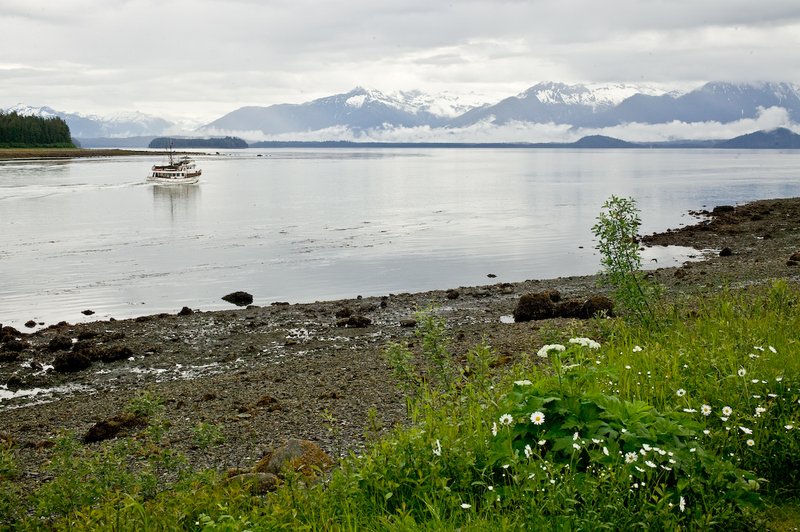 20060615_alaska-148.jpg
