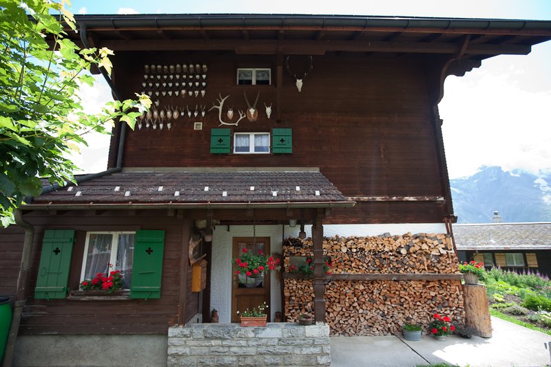 20100801_r_switzerland-24.jpg