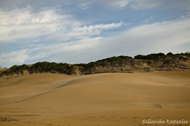 Beach Port Elizabeth.jpg
