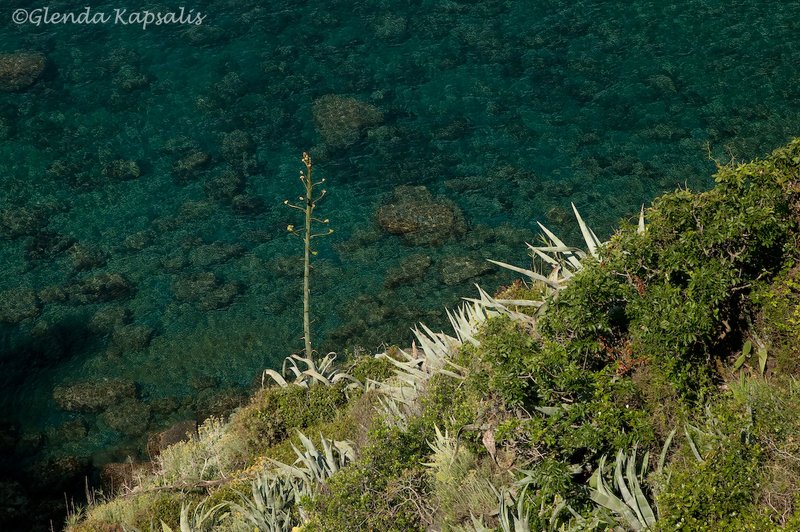 Cinque Terre sea view.jpg