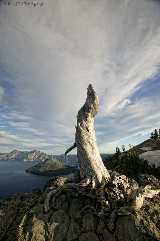 Crater Lake Seal2.jpg
