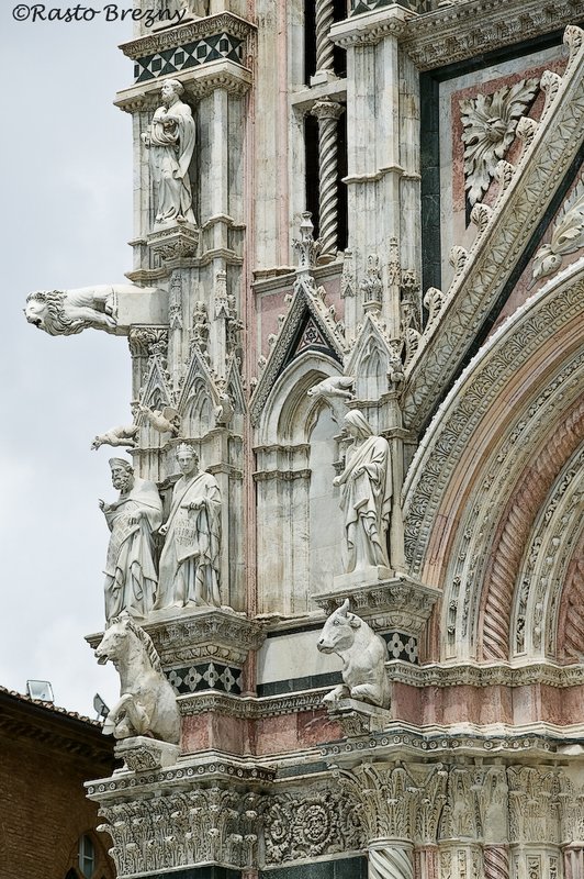 Duomo8 Siena Italy.jpg