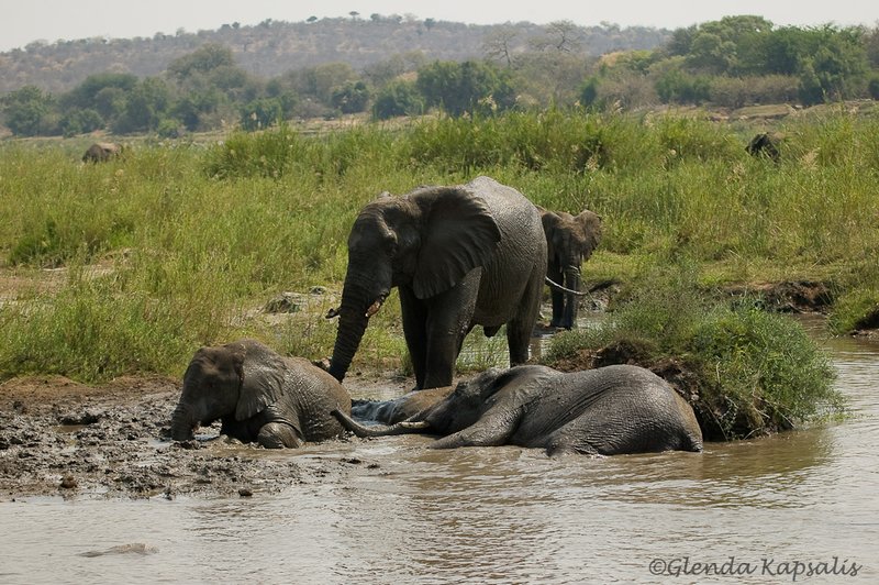 Family Mud Bath South Africa.jpg