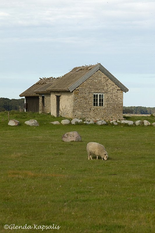 Farm Oland Sweden.jpg